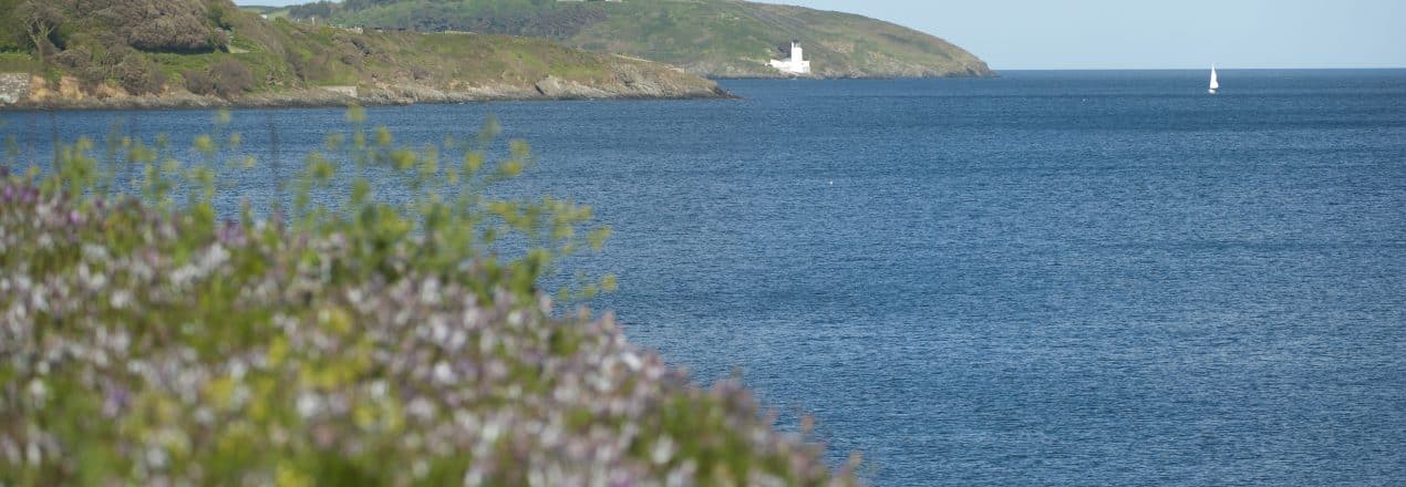 A photo taken looking across the water towards St Anthony's Lighthouse and the entrance to Falmouth harbour.
