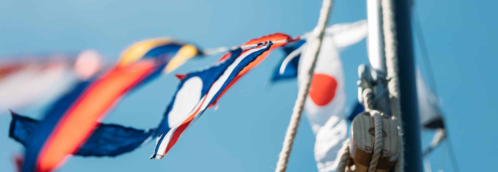 Photo of a row of flags fluttering in the wind.