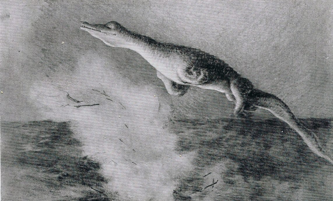 A black and white illustration of a sea monster jumping out of the waves.