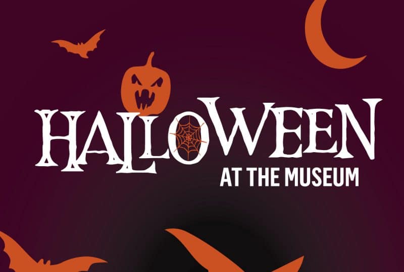 White text across the centre reads 'Halloween at the Museum'. Surrounding it are the orange silhouettes of three bats, a pumpkin with a face carved into it, and a crescent moon.