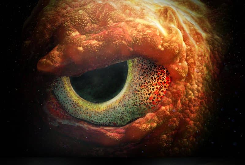 Close-up digital rendering of a kraken's eye, looking directly at the viewer.