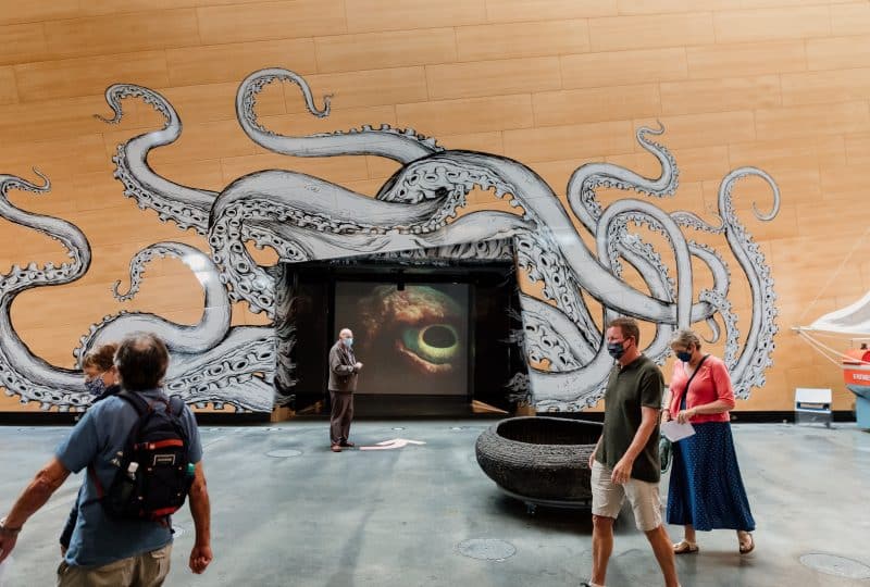 Photo of the entrance to the 'Monsters of the Deep' exhibition at the Museum. A kraken's tentacles are painted on the wall, and a large eye peers at visitors from the darkness. Visitors walk in front of the camera, wearing masks.