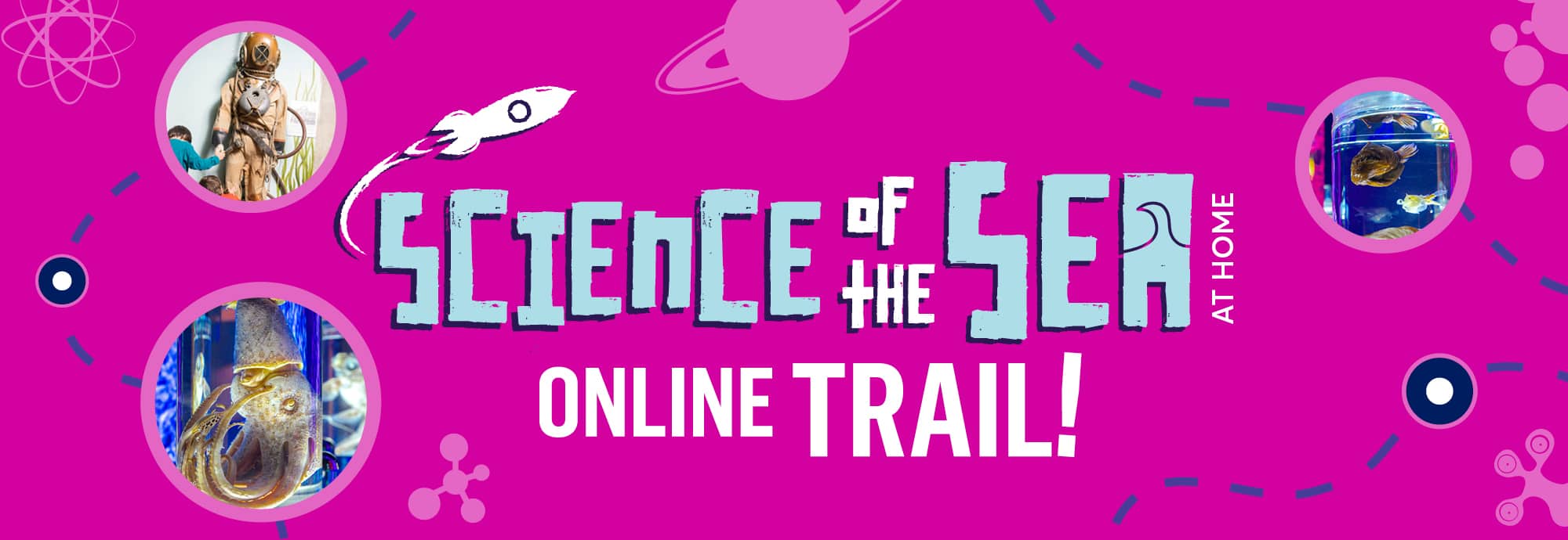 Against a pink background, text in the centre reads 'science of the sea at home' and 'online trail!'. Three photos show a diver's suit, a jar with several preserved specimens in, and a close-up of a preserved vampire squid.