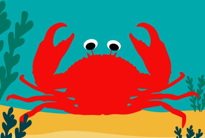 Digital artwork featuring a bright red crab, sand and kelp against a blue-green background.