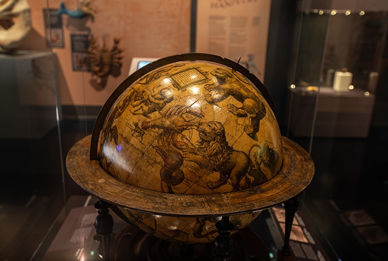 Photo of a brown globe with sea monsters drawn on it. It's in a case, being displayed at the Museum.