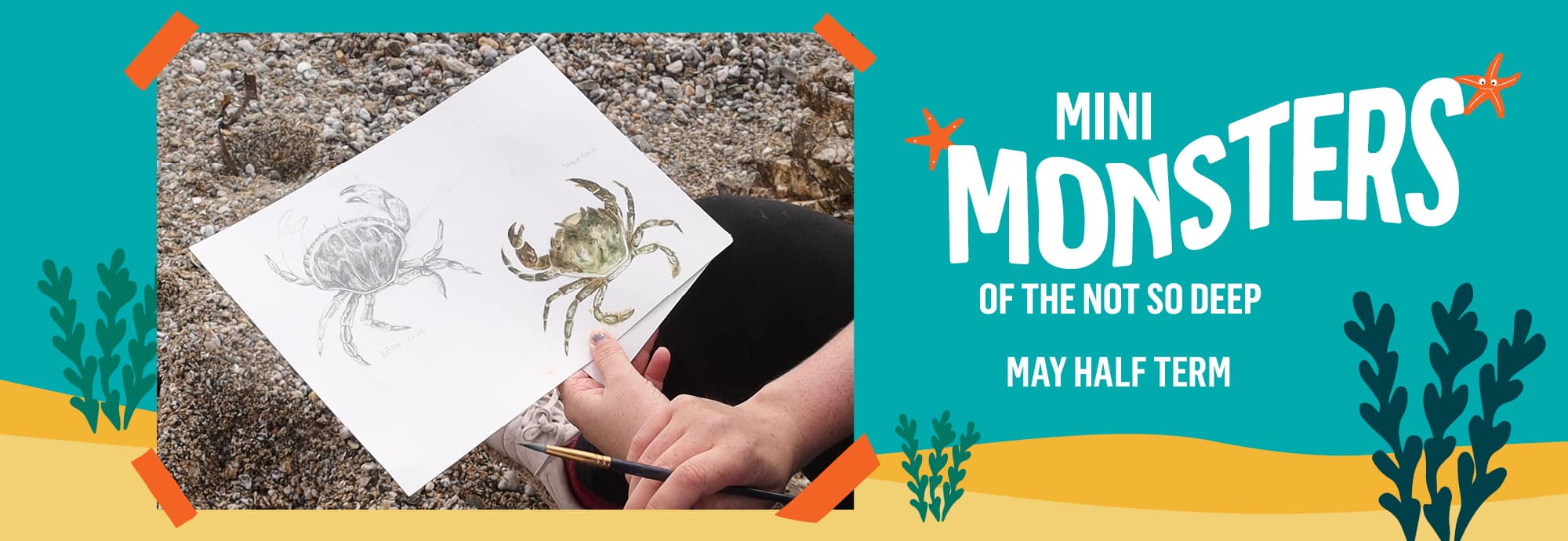 On the right, white text against a blue-green background reads 'Mini Monsters of the Not So Deep' and 'May half term'. On the left is a photo of someone in the process of painting and drawing two crabs.