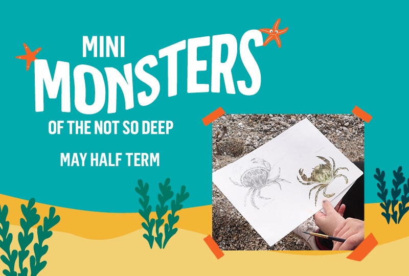 On the left, white text against a blue-green background reads 'Mini Monsters of the Not So Deep' and 'May half term'. On the right is a photo of someone in the process of painting a crab.