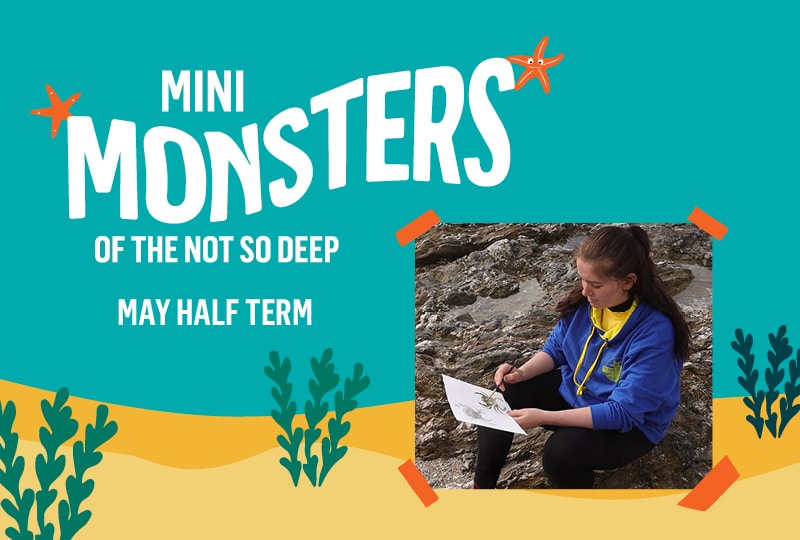 On the left, white text against a blue-green background reads 'Mini Monsters of the Not So Deep' and 'May half term'. On the right is a photo of a young woman in a blue hoodie sat on some rocks, painting a crab.