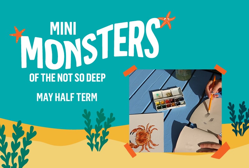 On the left, white text against a blue-green background reads 'Mini Monsters of the Not So Deep' and 'May half term'. On the right is a photo of someone in the process of painting a crab.