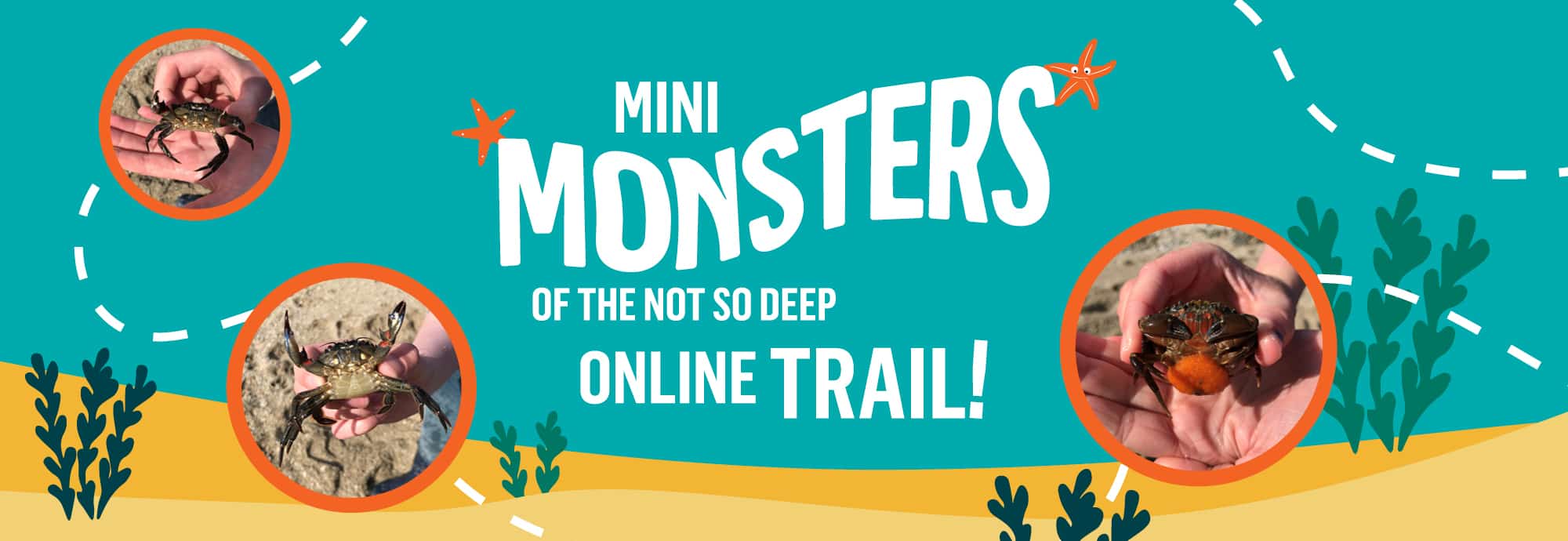 White text against a blue-green background reads 'mini monsters of the not so deep online trail!'. Three circular photos show hands holding crabs up to the camera. Along the bottom of the image is sand.