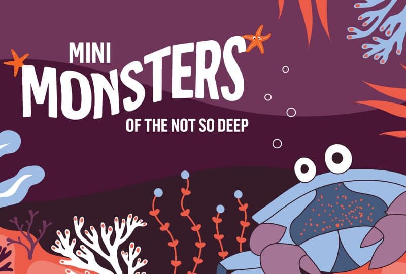 Digital artwork with white text at the top that reads 'Mini Monsters of the Not So Deep'. At the bottom is a blue crab and various white, red and blue kelp.