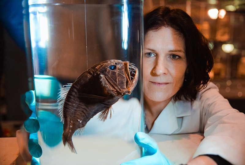 Dr Tammy Horton picks up a jar with a fangtooth fish in it.