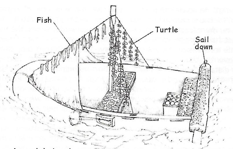 lucette yacht sinking