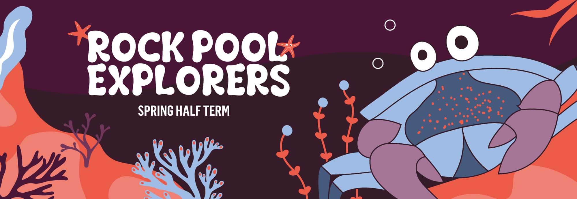 The words 'Rock Pool Explorers - spring half term' are written in white against a dark burgundy background. On the right is a drawing of a blue crab against red soil.
