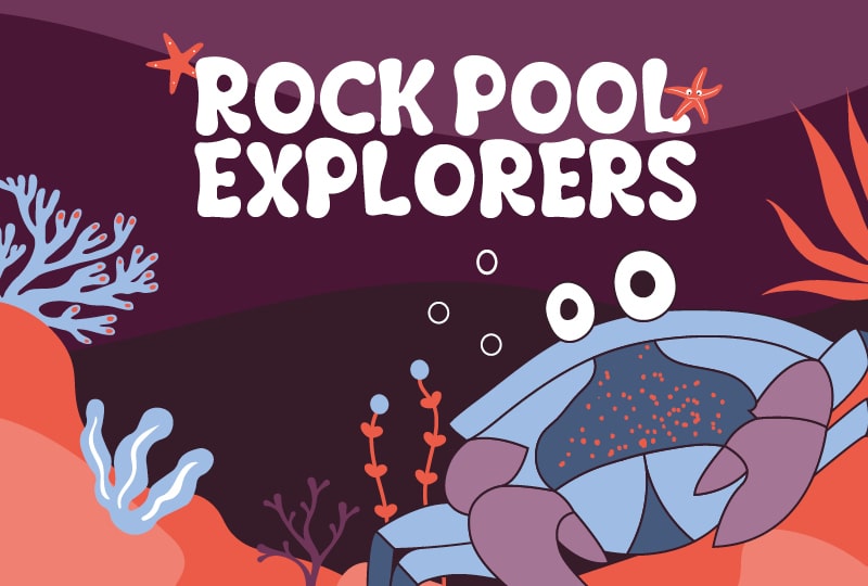 At the top of the image, 'Rock Pool Explorers' is written in white text against a dark burgundy background. Below, a cartoon crab is drawn against red soil.