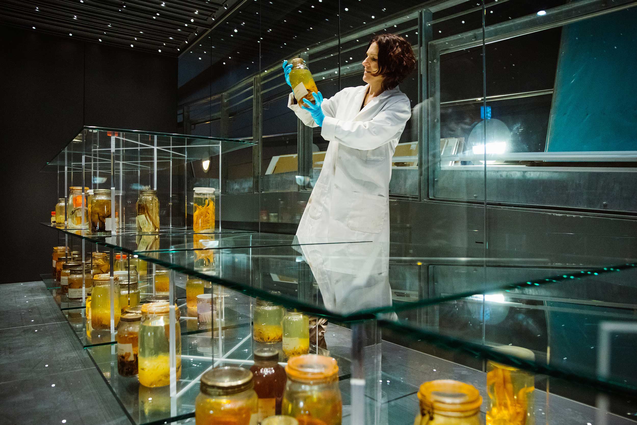 Dr Tammy Horton installs specimen jars in the Museum's 'Monsters of the Deep' exhibition.