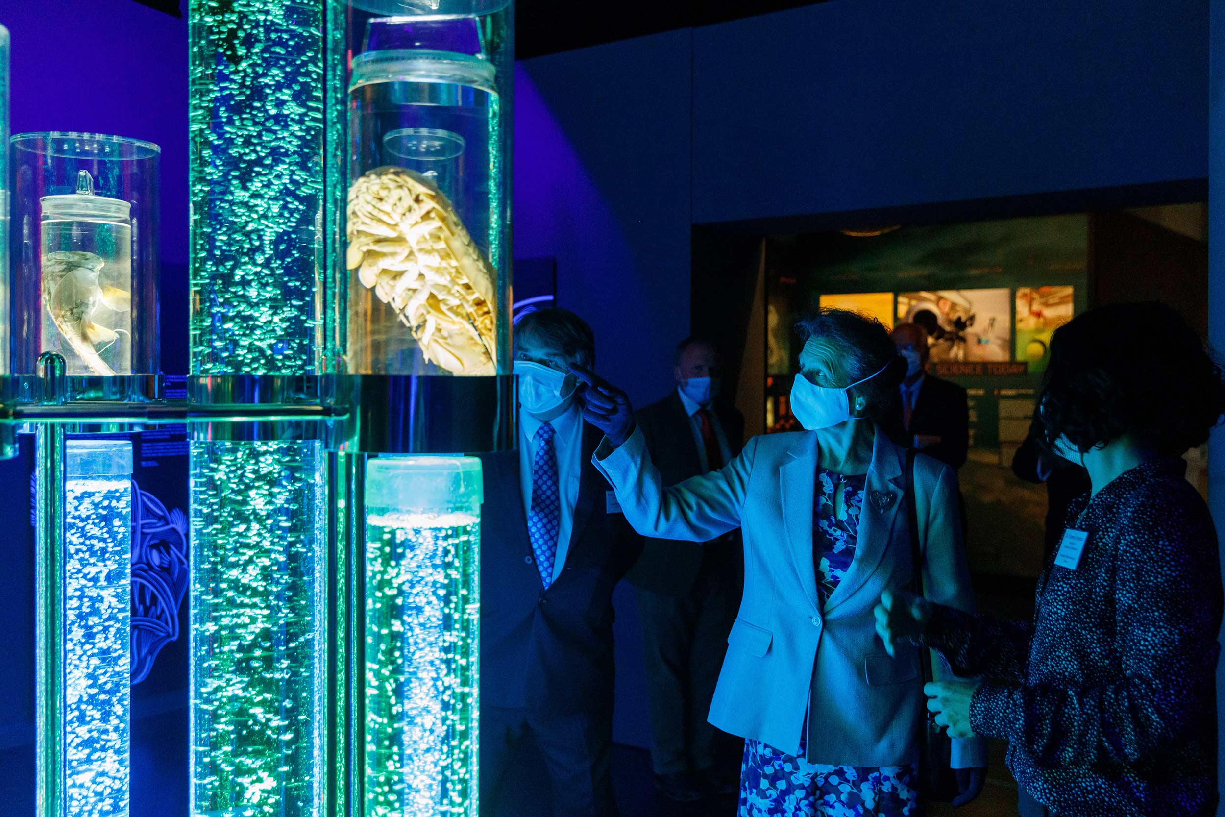 Princess Anne examines a display in the Museum's 'Monsters of the Deep' exhibition.