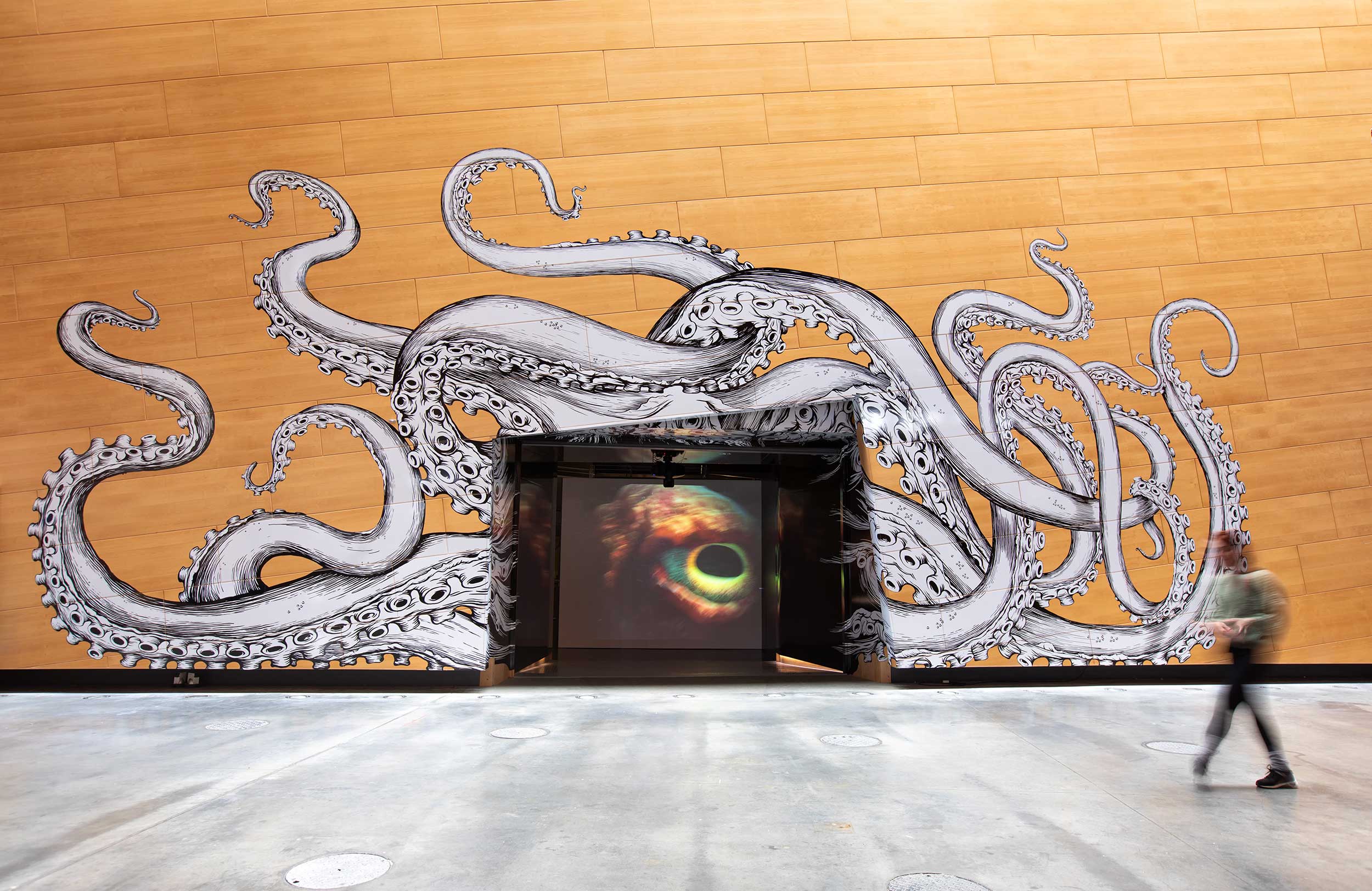 A photo of the entrance to the Museum's 'Monsters of the Deep' exhibition. Large tentacles are painted onto the wall surrounding the entrance, while a kraken eye peers at the viewer from inside.