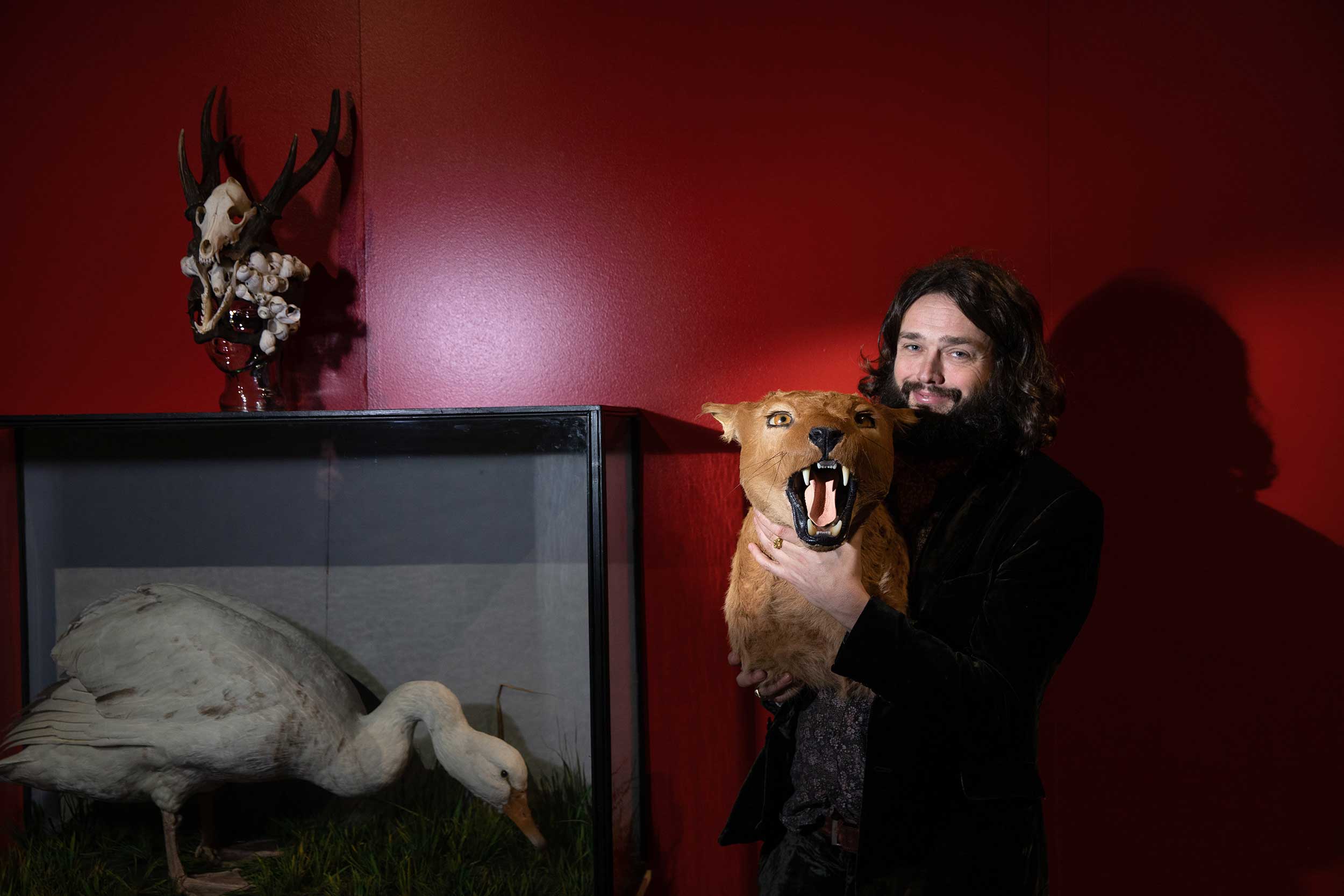 Photo of Viktor Wynd installing objects in his 'Unnatural History Museum'.