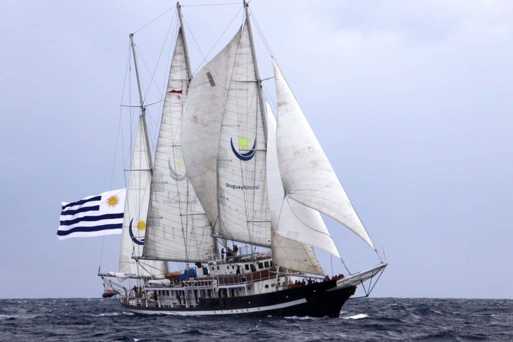 A photo of the three-masted Uruguayan schooner Capitan Miranda. The sailing ship has a black hull and white sails, with the Uruguay flag sailing at the rear. Pictured with blue sky and a mildly choppy sea.