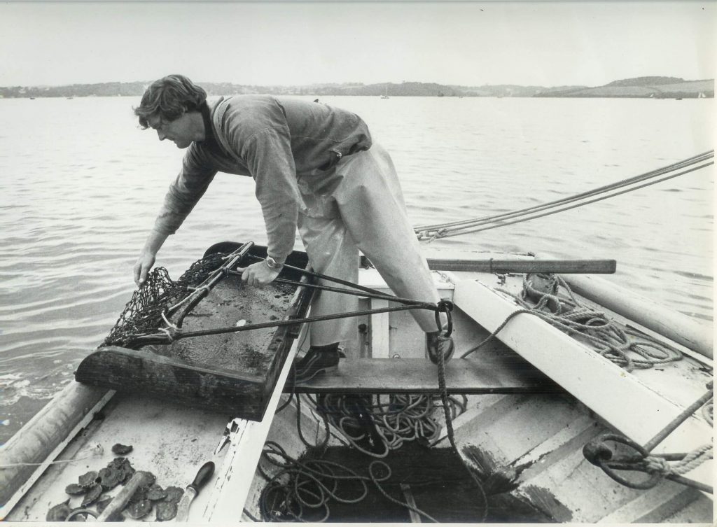 A black and white photo of Kenny Corke oyster dredging on Evelyn. 