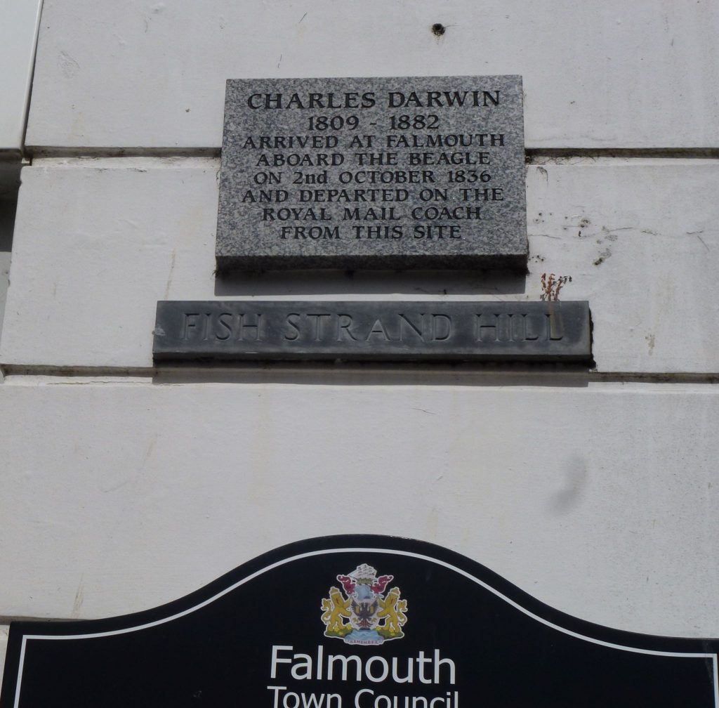A photo of the Charles Darwin Plaque in Falmouth. The plaque lies on a white wall on Fish Strand Hill.