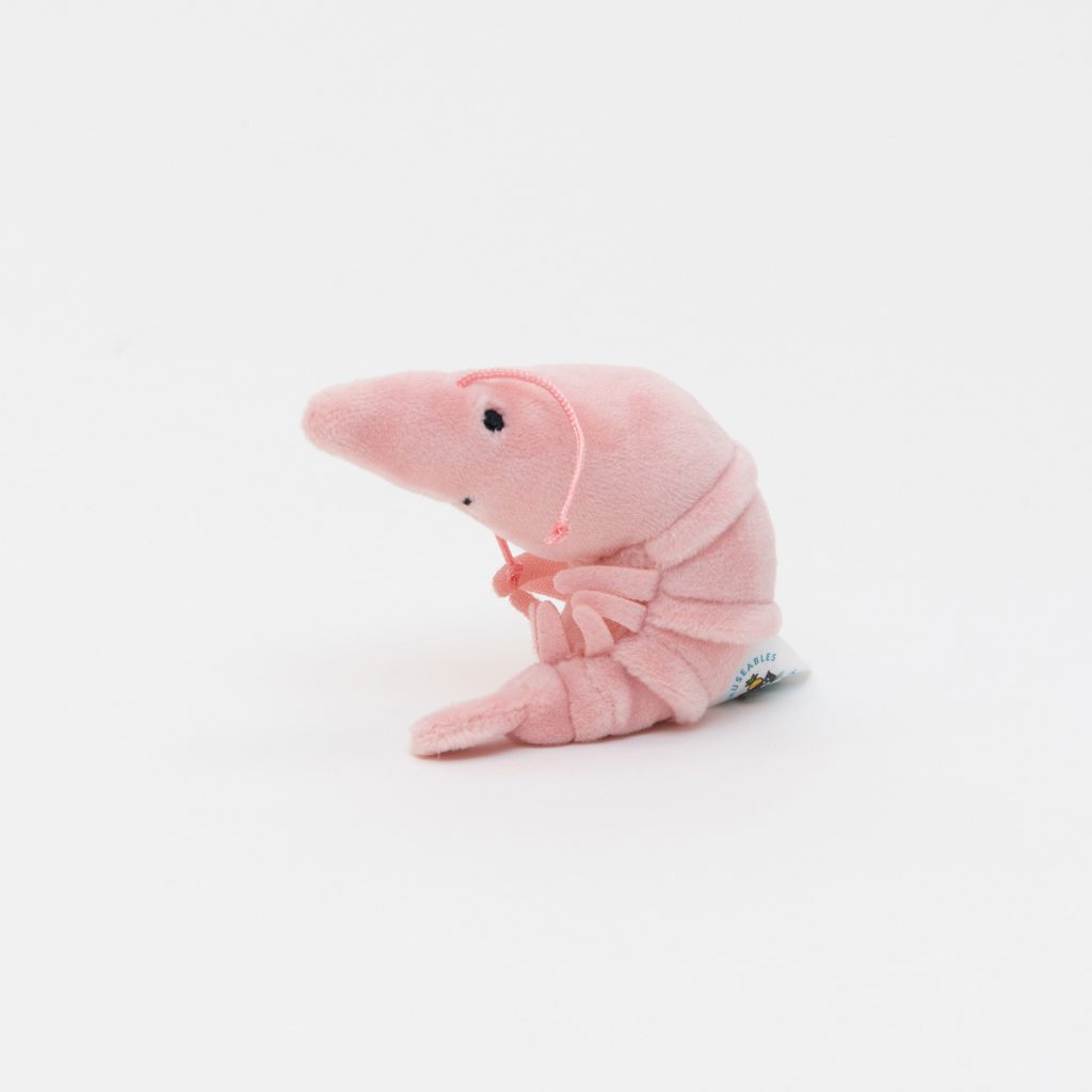 A pink shrimp plush toy on a white background.