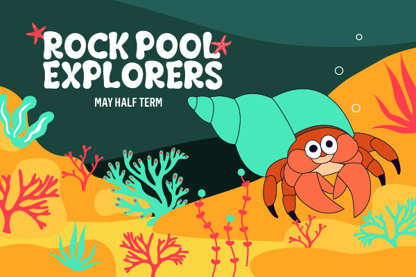 A brightly coloured illustration for NMMC's Rock Pool Explorers event. It features an orange hermit crab with a blue shell on the seabed surrounded by seaweed.