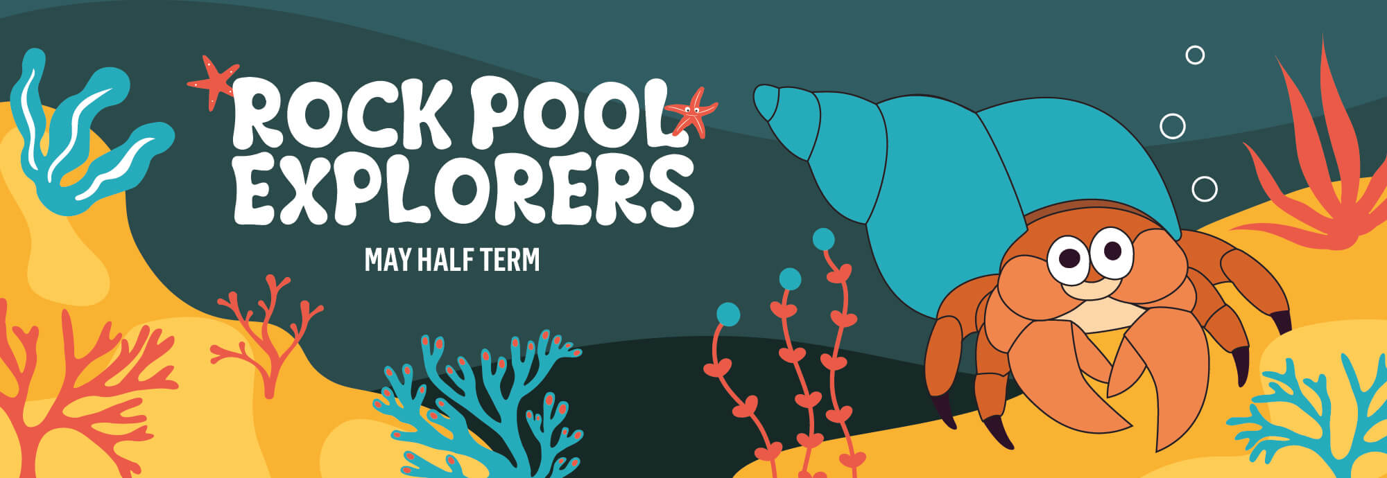 A brightly coloured illustration for NMMC's Rock Pool Explorers event. It features an orange hermit crab with a blue shell on the seabed surrounded by seaweed.