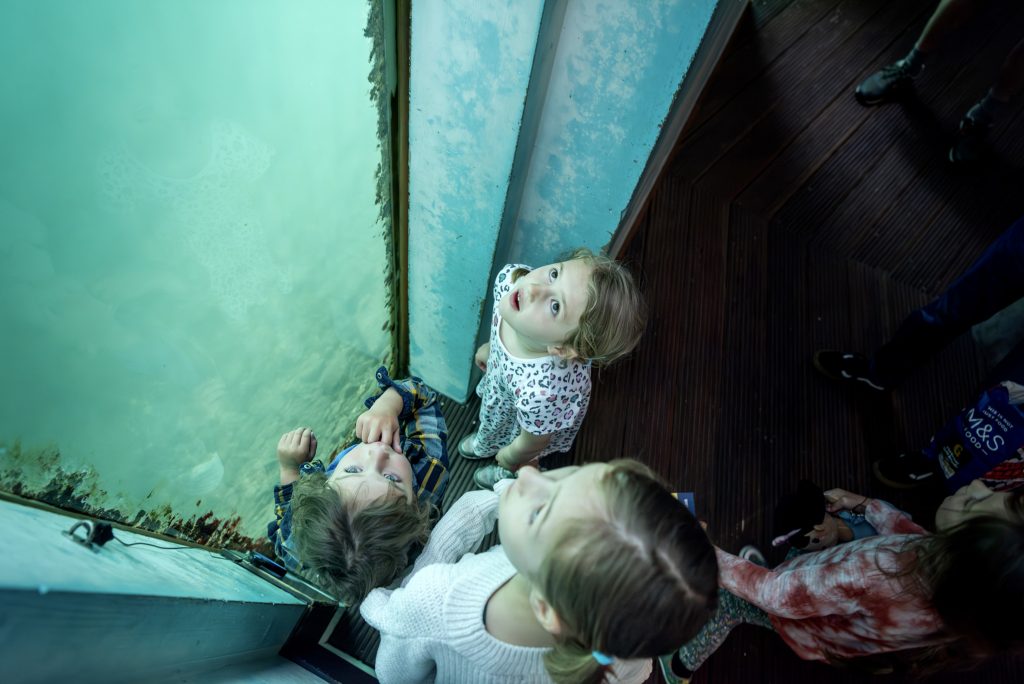 Three children looking up through the Tidal Zone underwater windows at National Maritime Museum at high tide.
