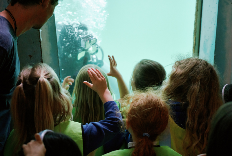 A photograph shows school pupils looking at a scuba diver through an underwater window.