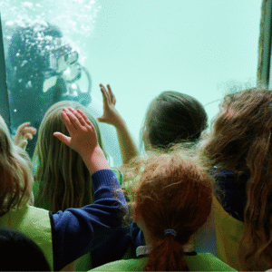 A photograph shows school pupils looking at a scuba diver through an underwater window.