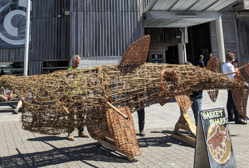 A large withy (willow) sculpture of a Basking Shark stands on a wooden base outside the National Maritime Museum Cornwall while people look on.