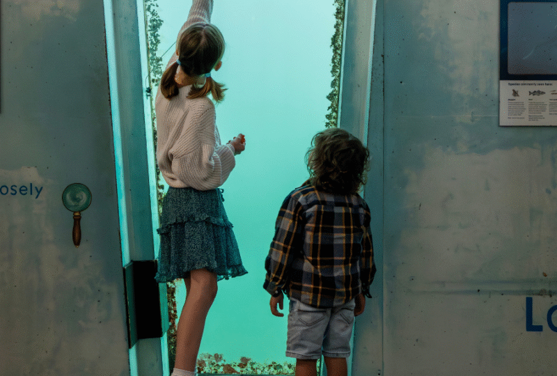 Two children look through an underwater window in the Tidal Zone at National Maritime Museum Cornwall, the taller child holds a magnifying glass up to the window.