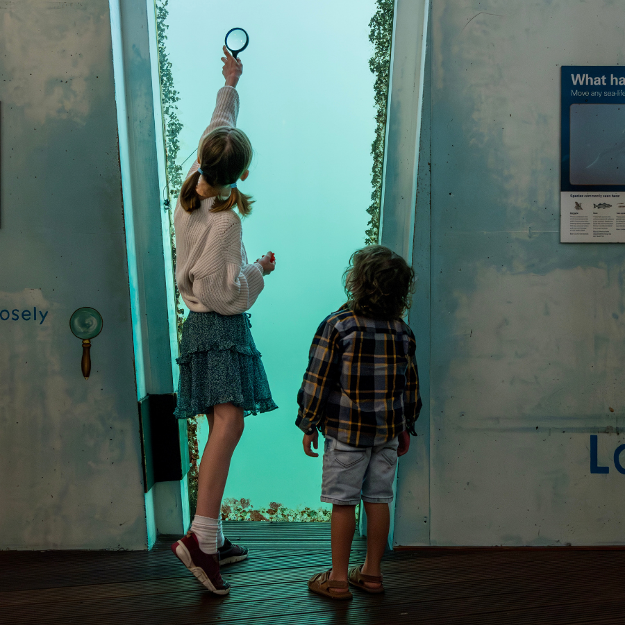 Two children look through an underwater window in the Tidal Zone at National Maritime Museum Cornwall, the taller child holds a magnifying glass up to the window.