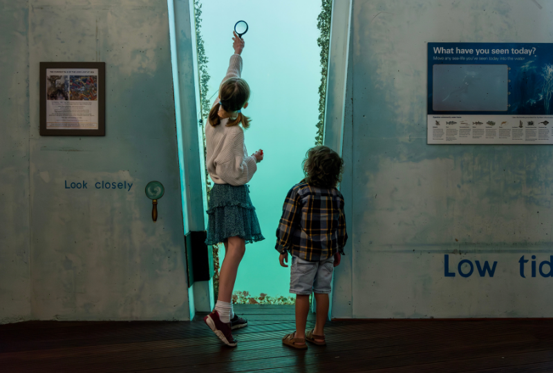 Two children look through an underwater window in the Tidal Zone at National Maritime Museum Cornwall, the taller child holds a magnifying glass up to the window.