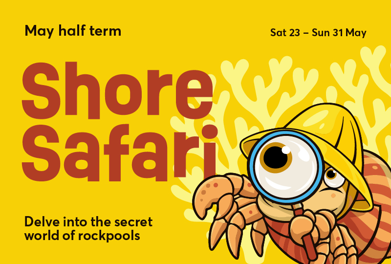 A yellow poster for May half term with text that reads 'Shore Safari - Delve into the secret world of rockpools' with a crab character holding a magnifying glass.