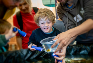A Rock Pool Project volunteer holds a marine creature in a bowl for a child to take a closer look.