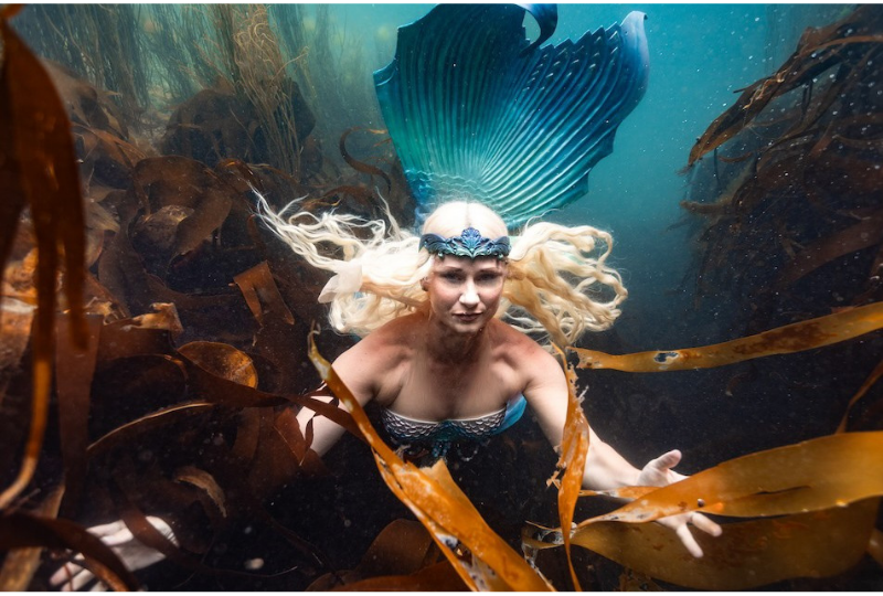 A woman with a mermaid tail and flowing blonde hair swims underwater toward the camera, surrounded by kelp and seaweed.